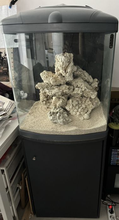 Acvariu apa sarata
