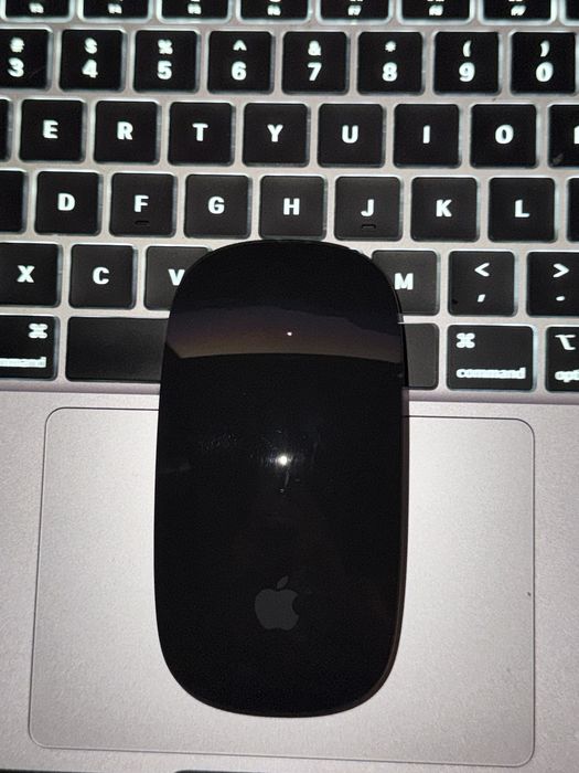 Magic Mouse Apple
