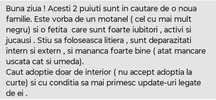 Donez pisici vaccinate deparazitate și sterilizate