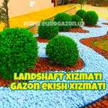 Landshaft xizmati | Gazon ekish | рулонные газоны