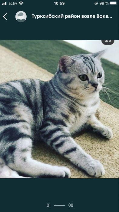 срочно вязка вязка