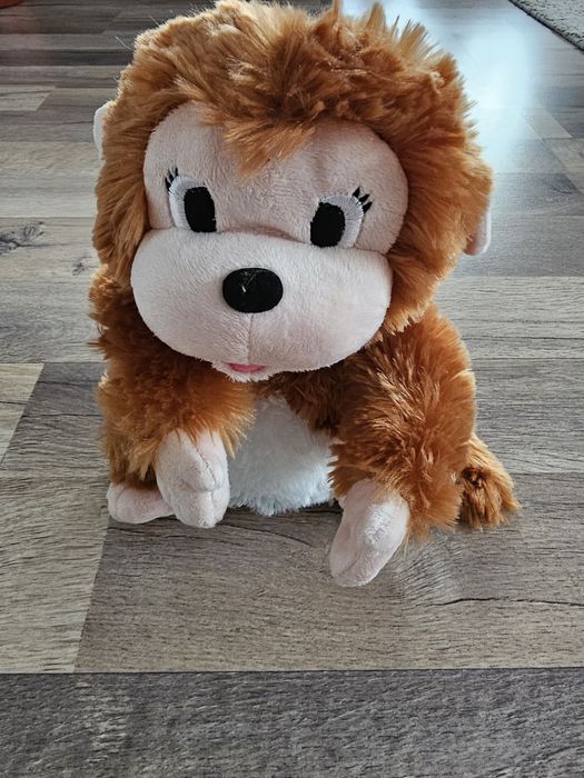 Maimuță plus Moki ce chicoteste și da din mâini