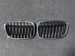 Grile Bmw X1 F48