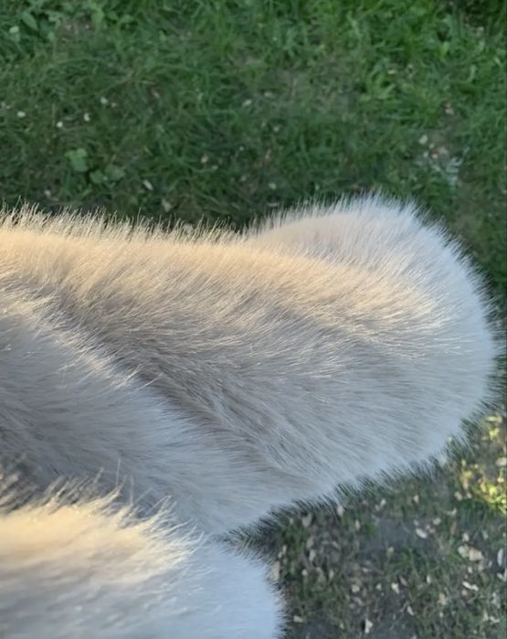 Дамско еко палто с стархотен цвят.