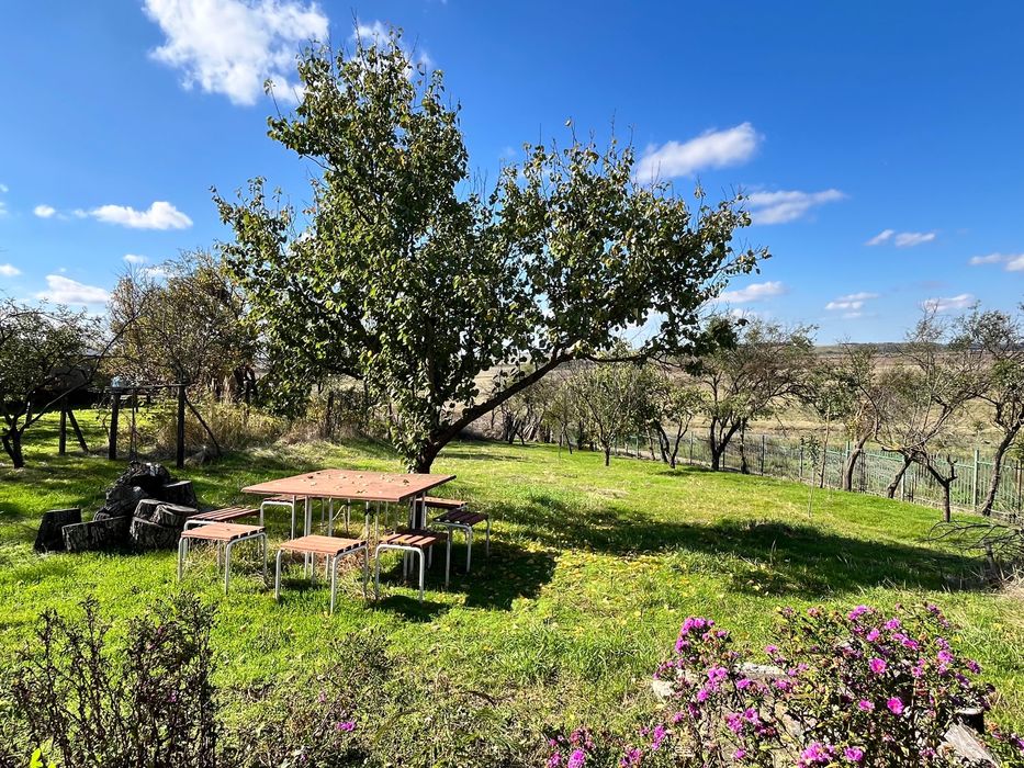 Casa ingrijira, teren generos-Vasilati-30 min. Bucuresti!