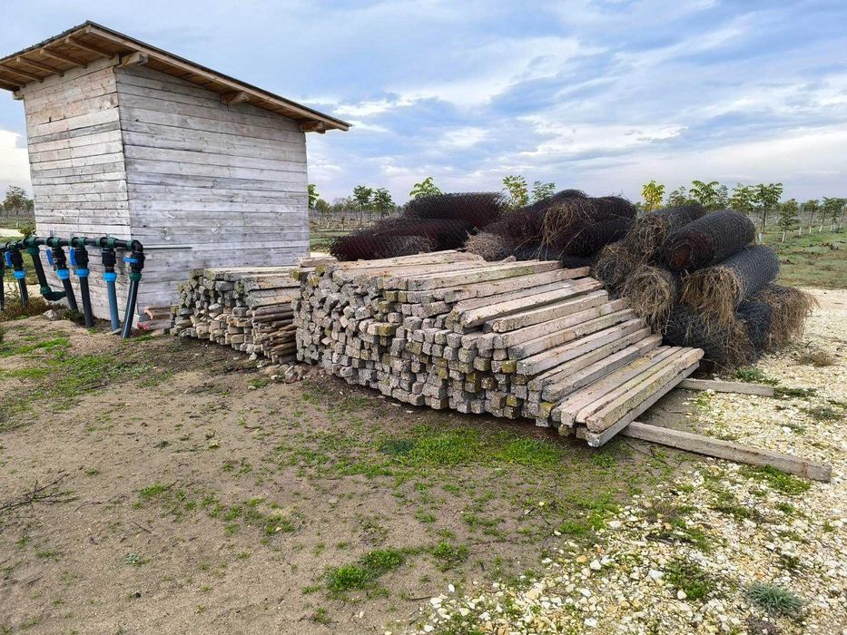 Циментови колове