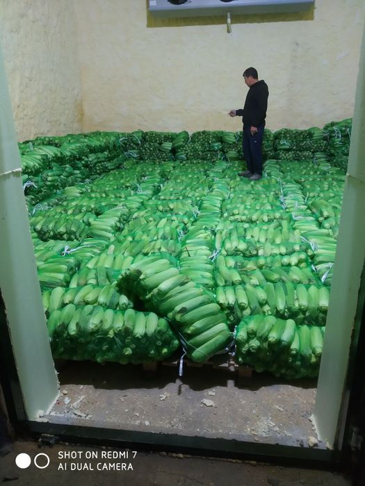 Shirin joʻxori . Marka 832. Сладкая кукуруза