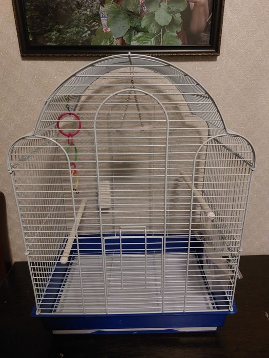 Продам клетку б/у