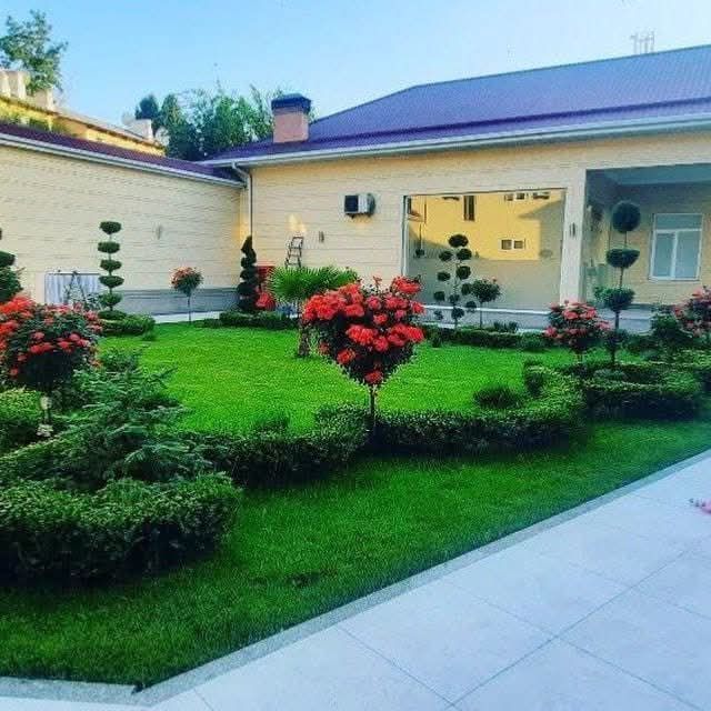 Gazon lanshaft dezayn