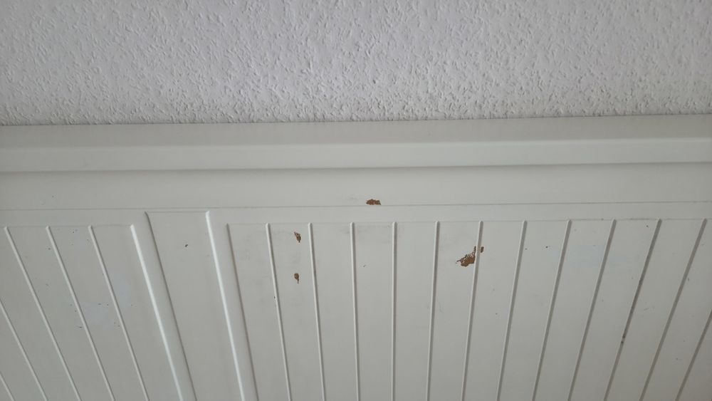 Разтегателна кушетка HEMNES с 2 матрака