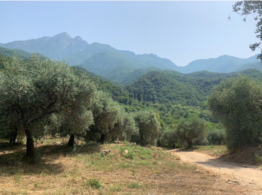 Sfantul Munte Athos / Grecia Creștinul - pelerin pe urmele sfinților