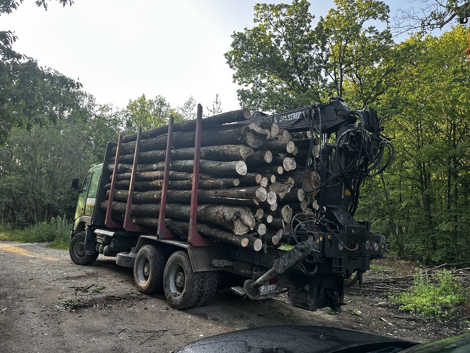 Lemn de foc FAG carpen STEJAR