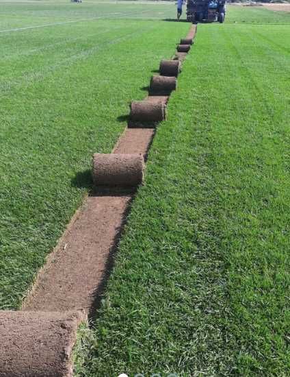 Gazon Rulou Si Sisteme de irigatii + Insamantare