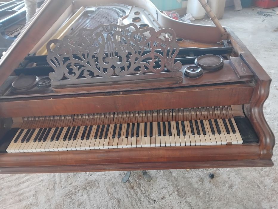 Piane recent adus  de colecție an 1320