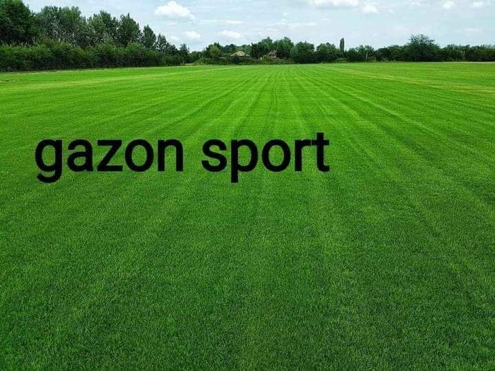 Gazon rulou sport