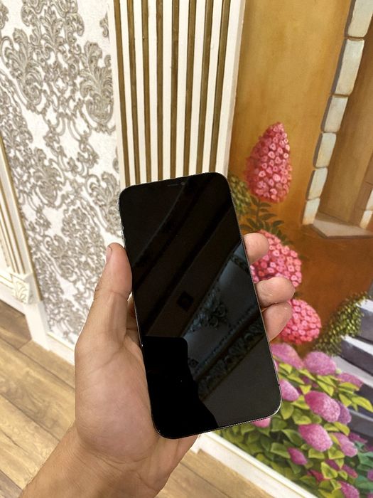 Iphone 12 pro max 256