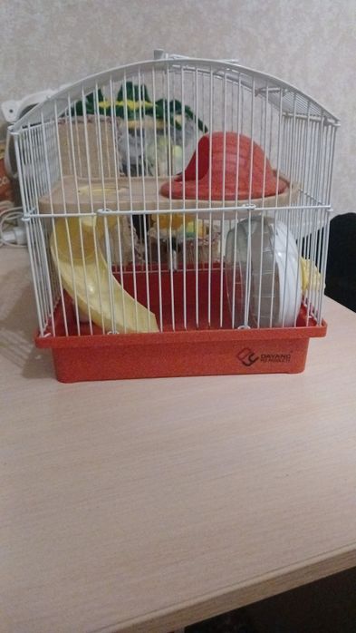 Продам клетку срочно!