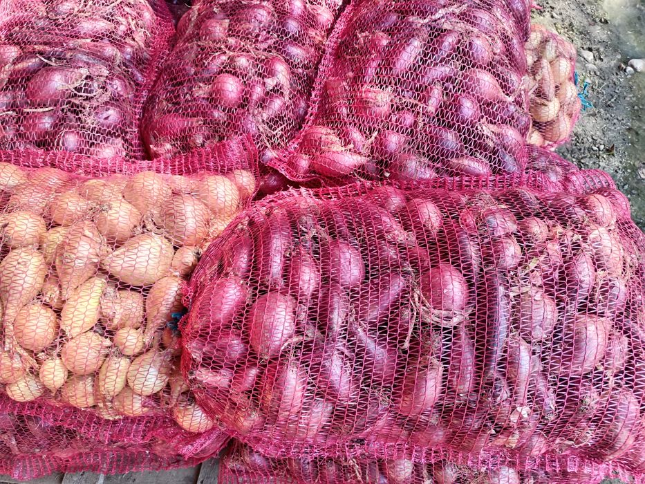 Vând ceapa roșie și alba