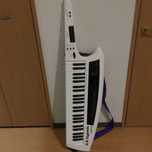 Keyboard synthesizer AX ROLAND