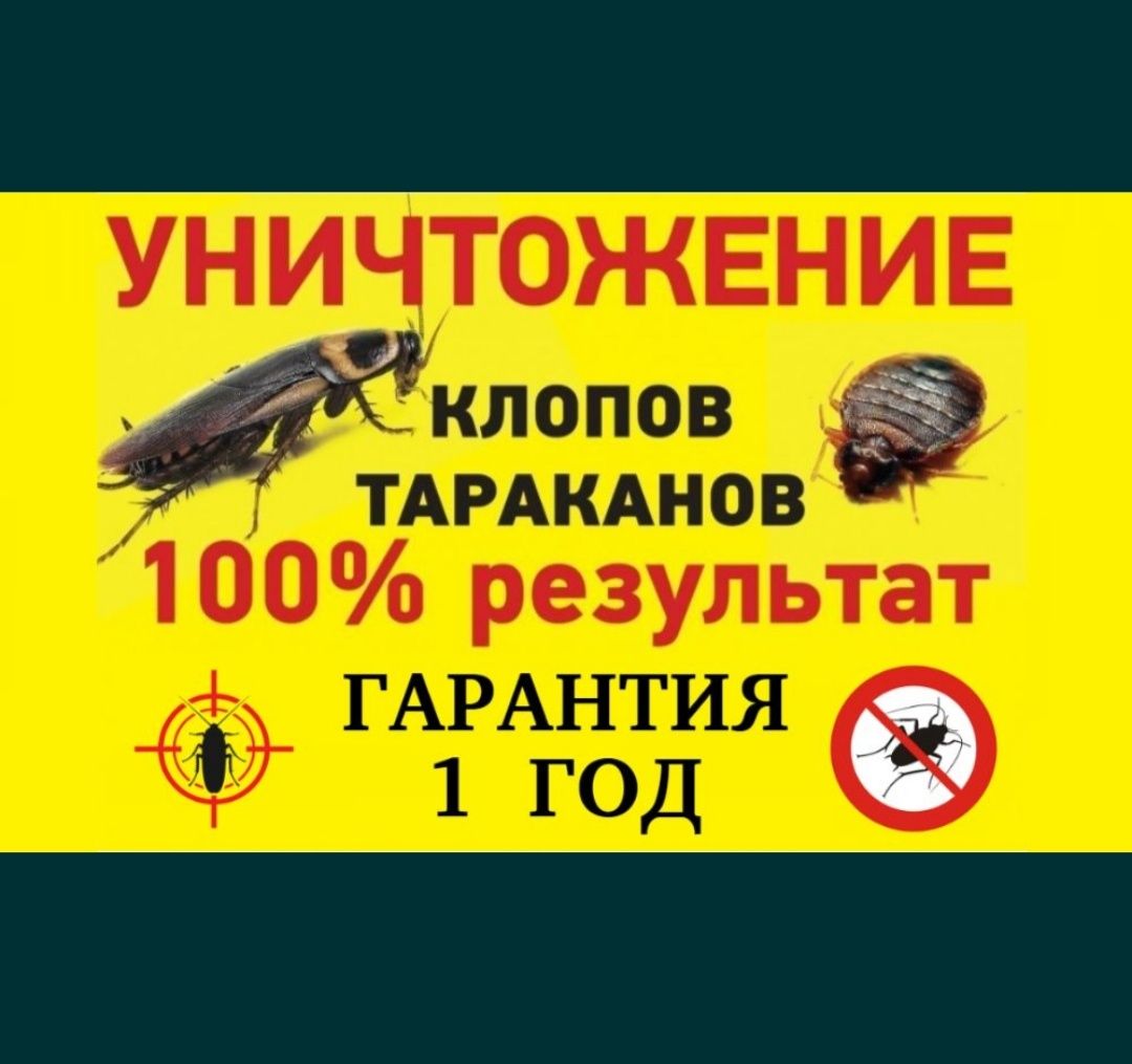 7000 тенге! Дезинфекция от всех насекомых