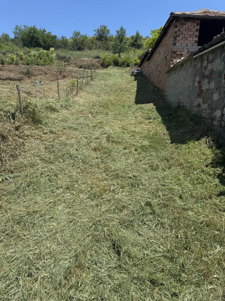 Почистване,косене,кастрене и рязане на дървета.