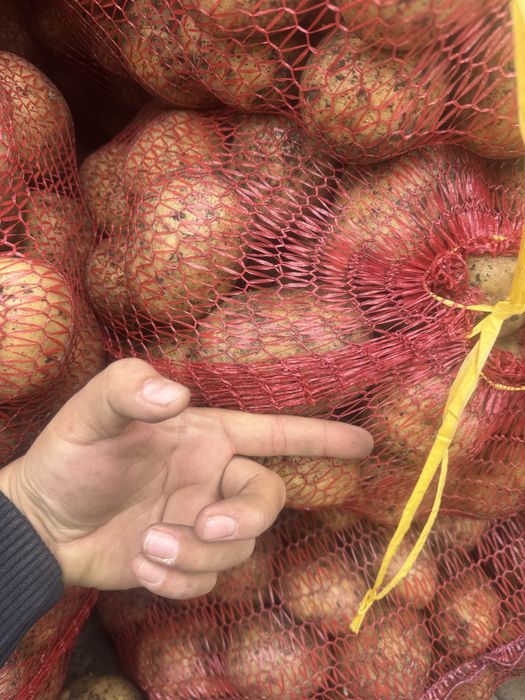 Продам картошку