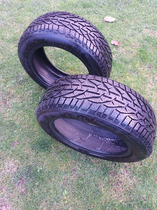 Cauciucuri iarna tigar