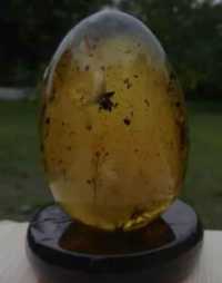 Старинно яйце от Балтийски кехлибар