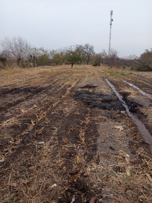 Bo'sh yer 15 sotik 2 ga bolib ham sotamz