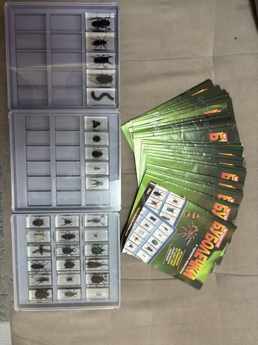 Колекция 28 истински буболечки със списания + 3 кутии