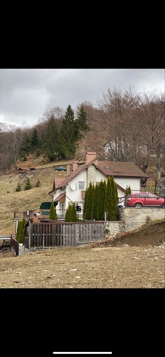 Cabana Masivul Parâng