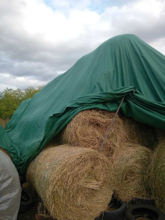 Vand baloti de lucerna