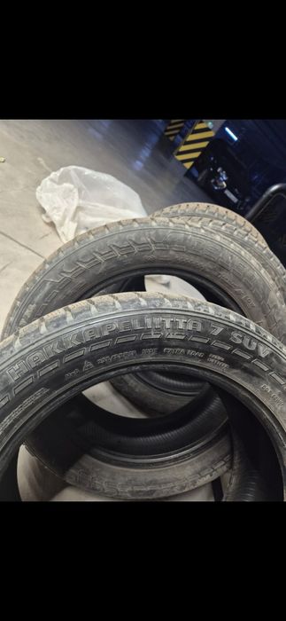 нокиан хакапеллита 7