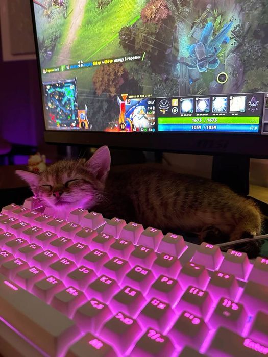 Dota 2 буст ммр  очень дёшево