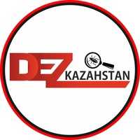 TOO DEZ-Kazahstan.Дезинфекция,уничтожение Клопов,Тараканов. Кызылорда