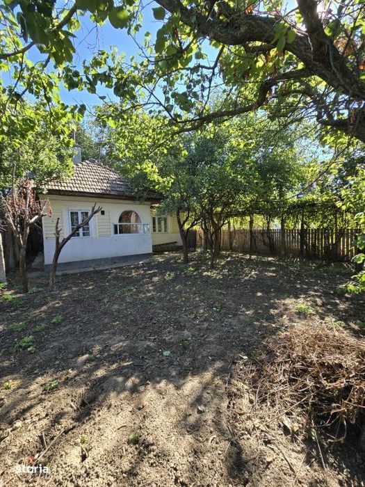 Casa batraneasca cu 1000 mp teren Letea