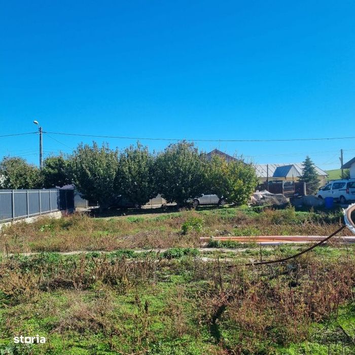 Teren De Vanzare In Calarasi