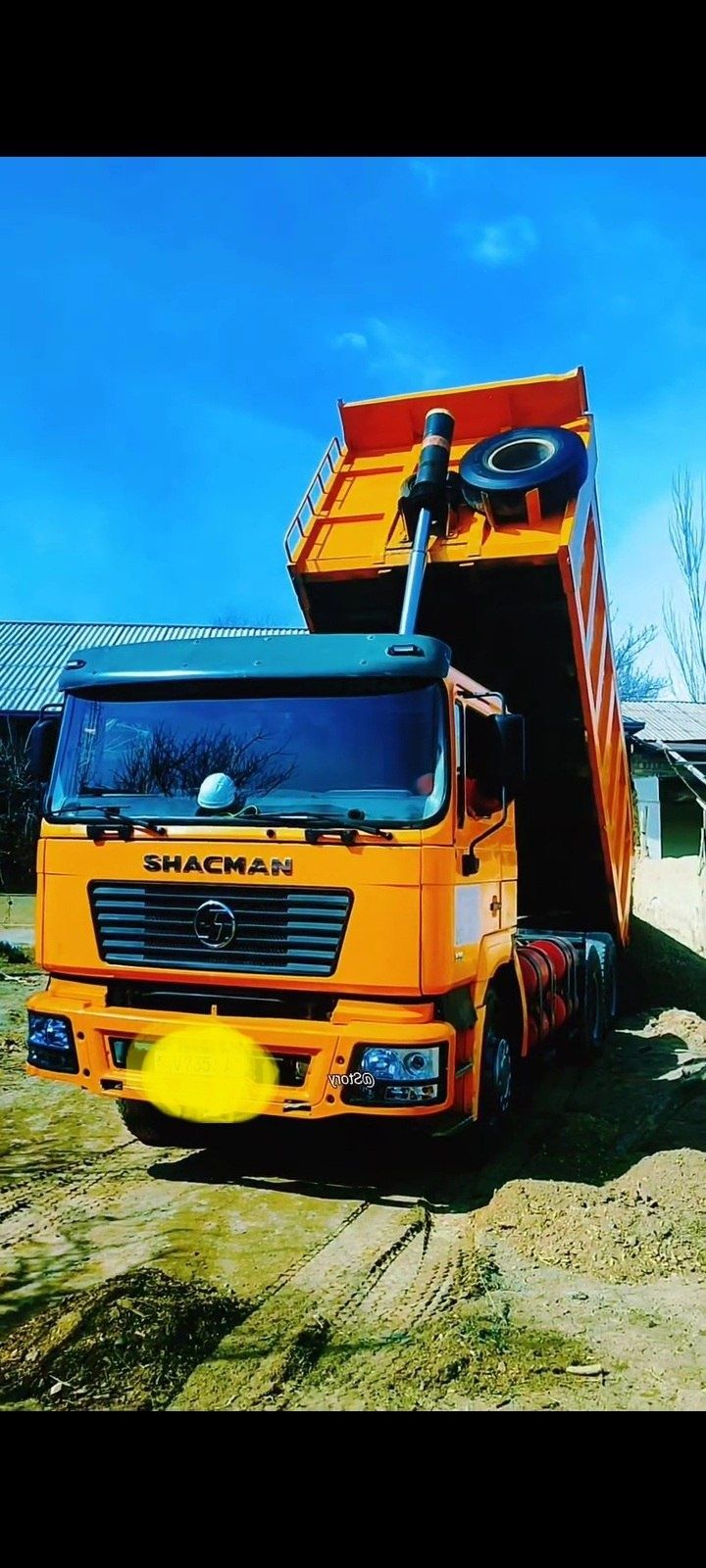 Shacma sotiladi 30000$