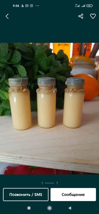 Ari suti asal ari suti