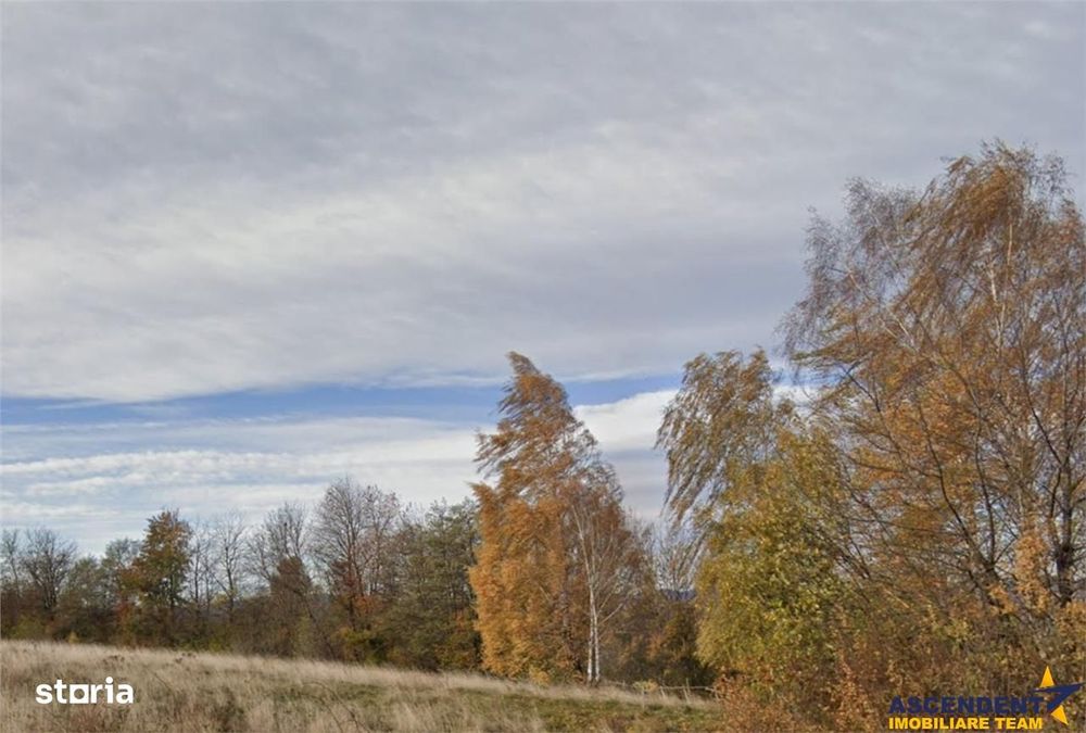 11.600mp teren, partial extravilan ,Valea Mare Pravat, 2 km de Campulu