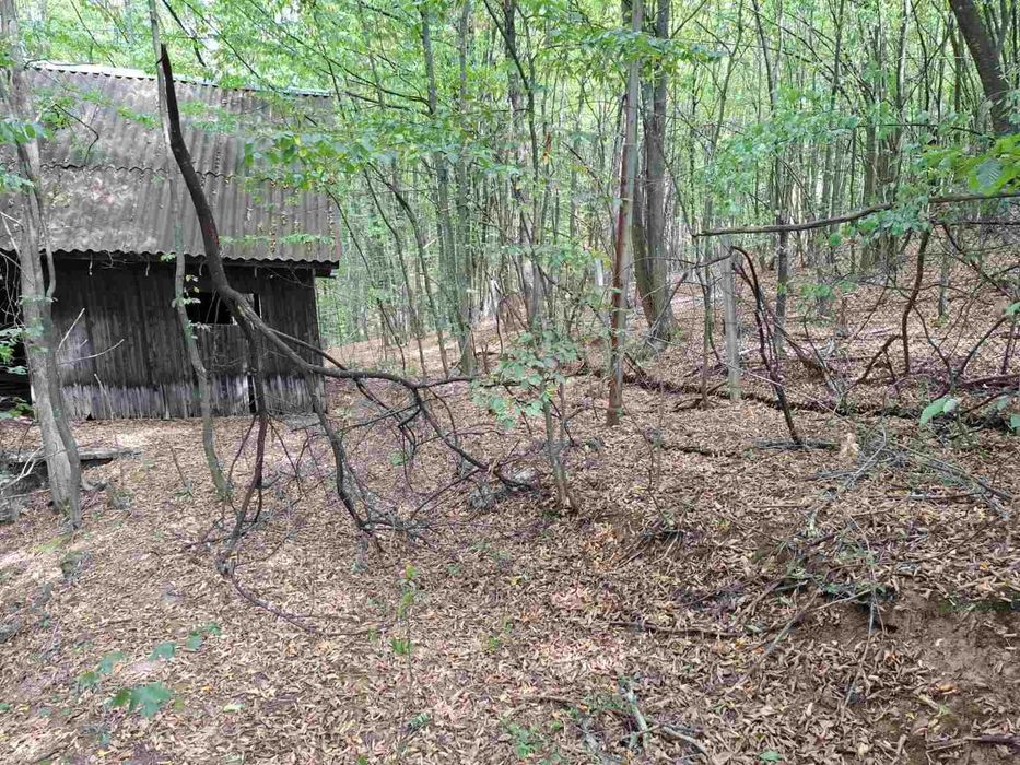 Продава парцел в Правец, махала Живковска