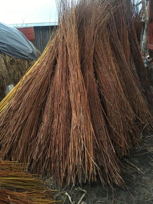 Vand nuia de rachita