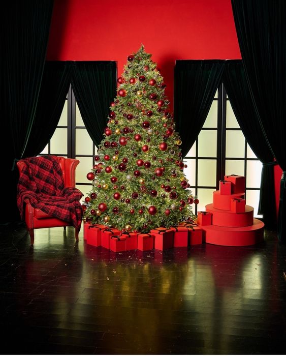 Фотограф семейный