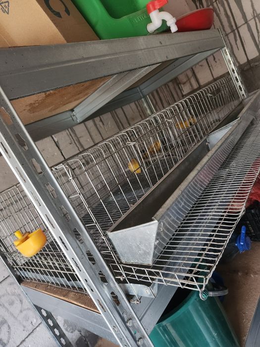 Vand cusca prepelite