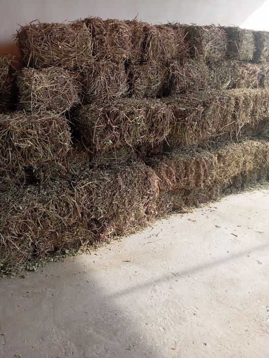 Ери ёнгок сотилади пресс