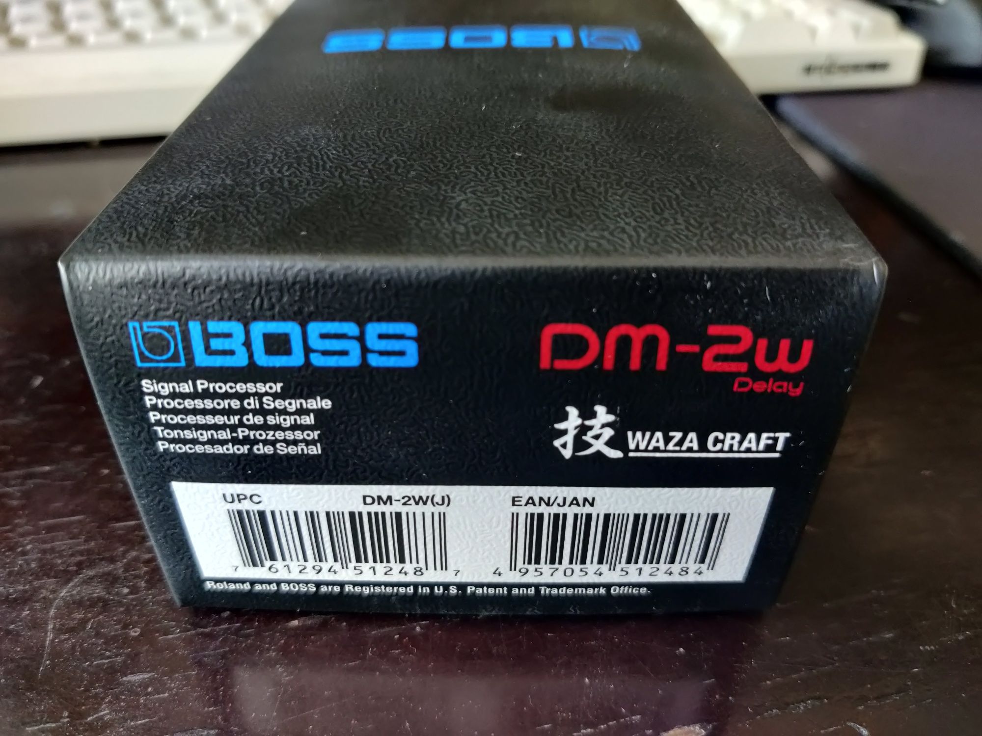 Boss DM 2W delay pedal