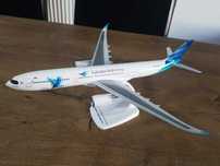 Macheta avion Garuda Indonesia | Decoratie | Perfect pentru cadou
