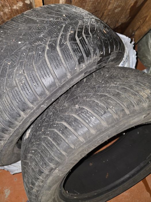 Продам шины Triangle 19