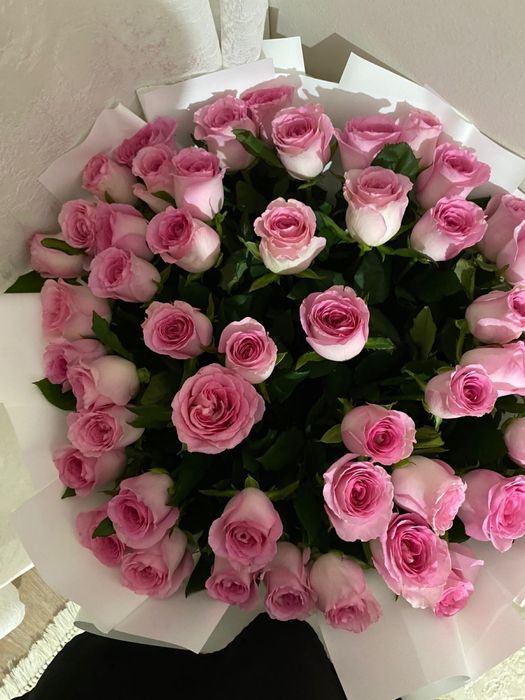 гоолоандские розы