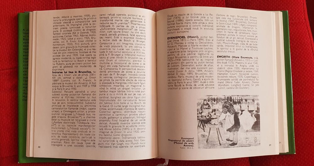 ENCICLOPEDIA picturii Flamande